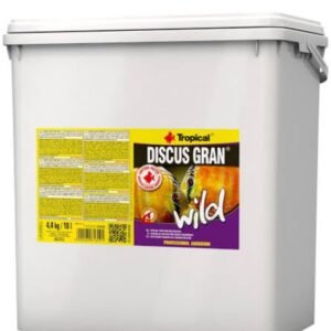 img 20250825 080219.jpg