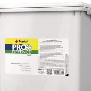 img 20250825 093107.jpg