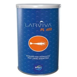 img 20250827 191824.jpg