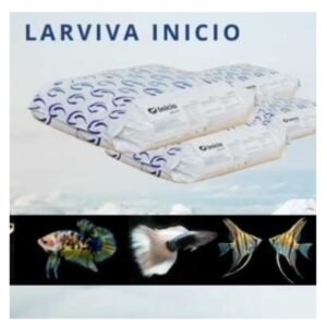 img 20250830 190152.jpg