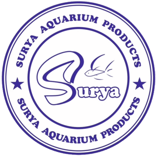 cropped cropped image 1.png